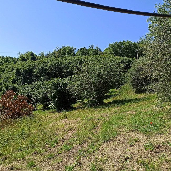 Terreno Agricolo in vendita a Soriano nel Cimino