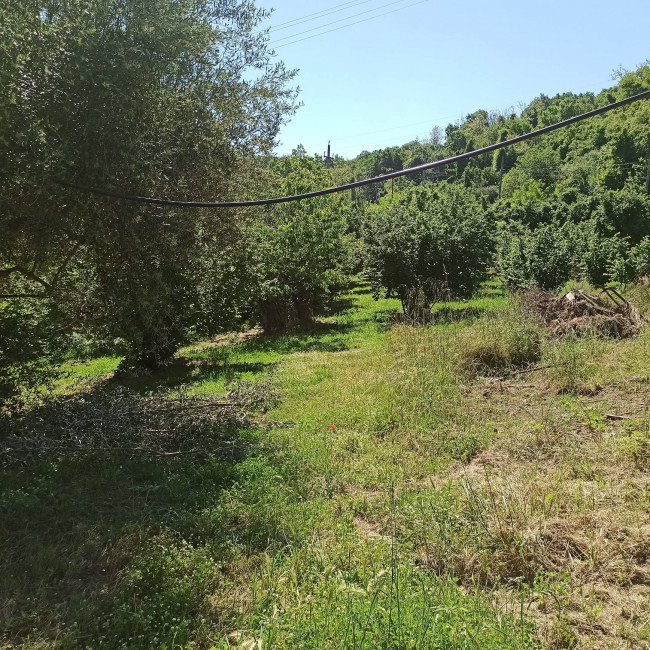 Terreno Agricolo in vendita a Soriano nel Cimino