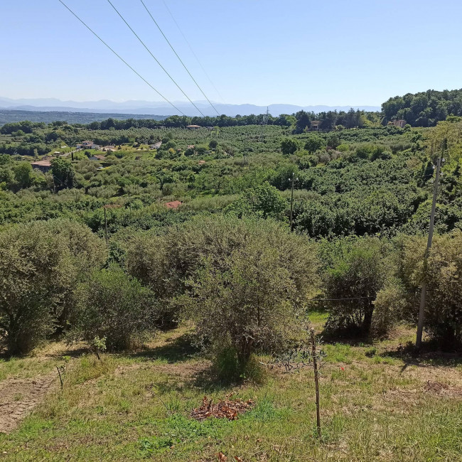Terreno Agricolo in vendita a Soriano nel Cimino
