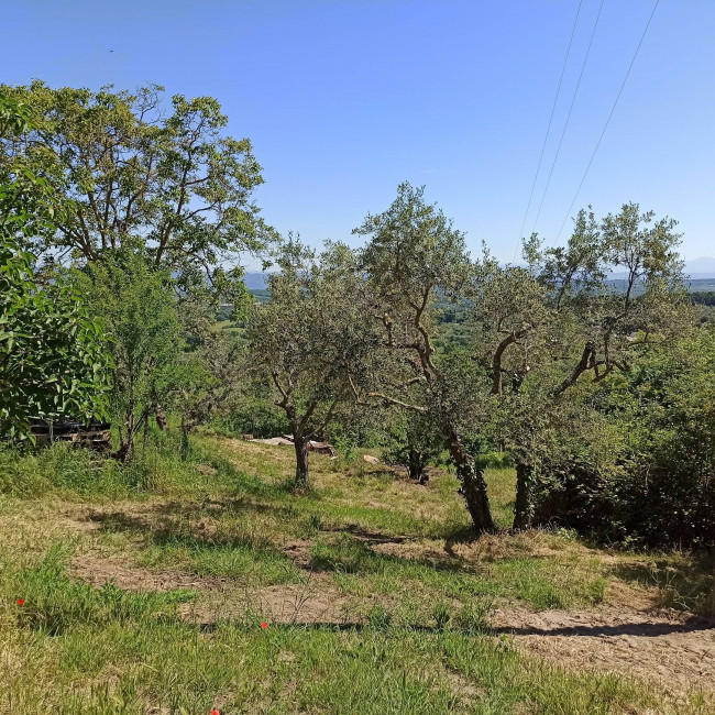 Terreno Agricolo in vendita a Soriano nel Cimino