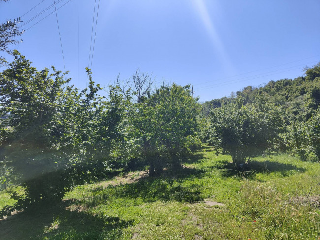 Terreno Agricolo in vendita a Soriano nel Cimino