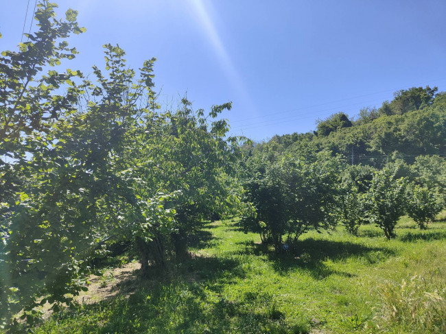 Terreno Agricolo in vendita a Soriano nel Cimino
