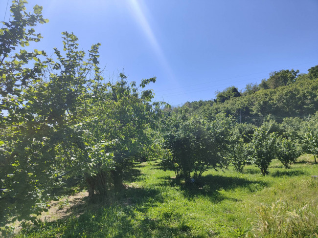 Terreno Agricolo in vendita a Soriano nel Cimino