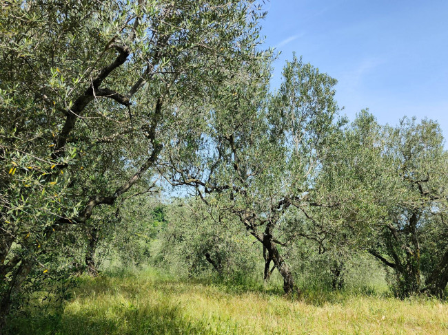 Casa singola in vendita a Soriano nel Cimino