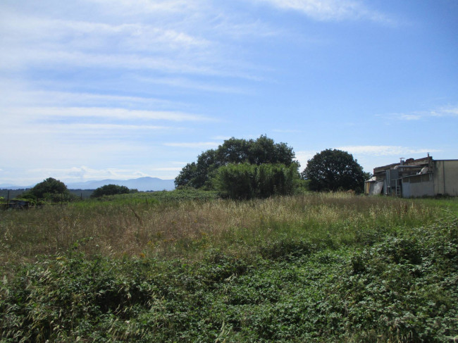 Terreno edificabile in vendita a Vasanello
