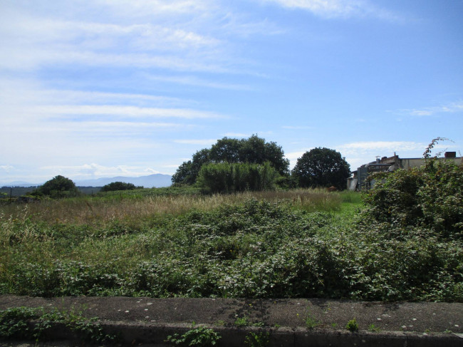 Terreno edificabile in vendita a Vasanello