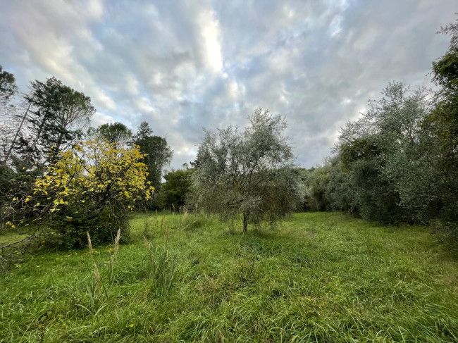 Terreno Agricolo in vendita a Orte