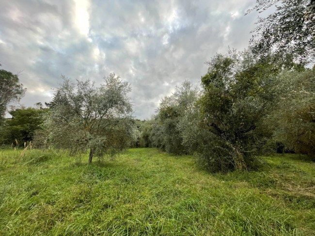 Terreno Agricolo in vendita a Orte
