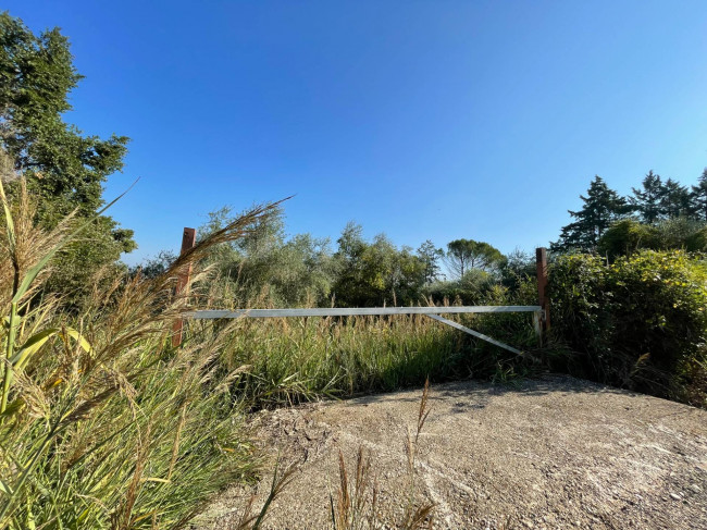 Terreno Agricolo in vendita a Orte