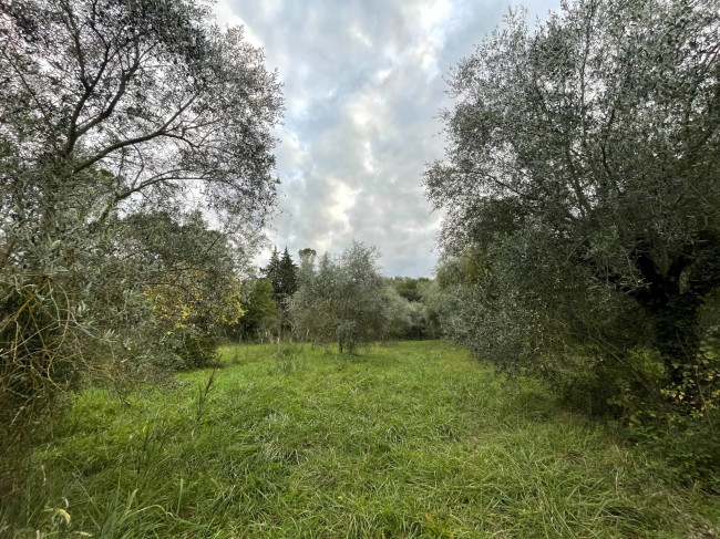Terreno Agricolo in vendita a Orte