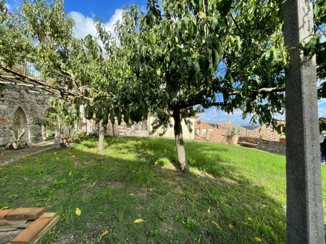 Palazzo Nobiliare in vendita a Amelia