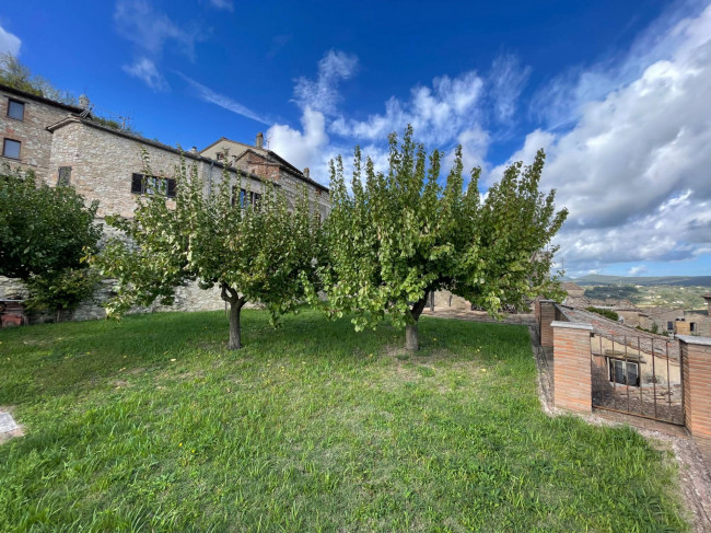 Palazzo Nobiliare in vendita a Amelia