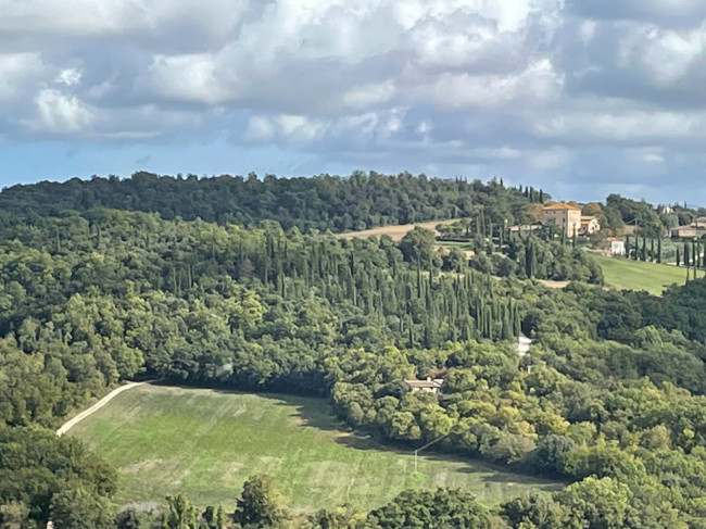 Palazzo Nobiliare in vendita a Amelia