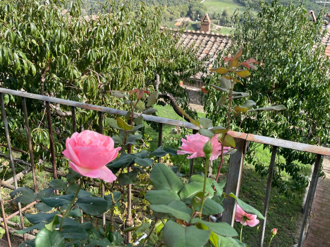 Palazzo Nobiliare in vendita a Amelia