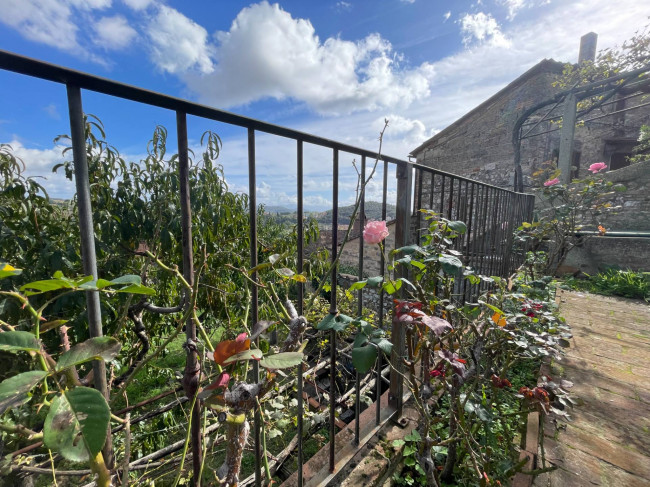 Palazzo Nobiliare in vendita a Amelia