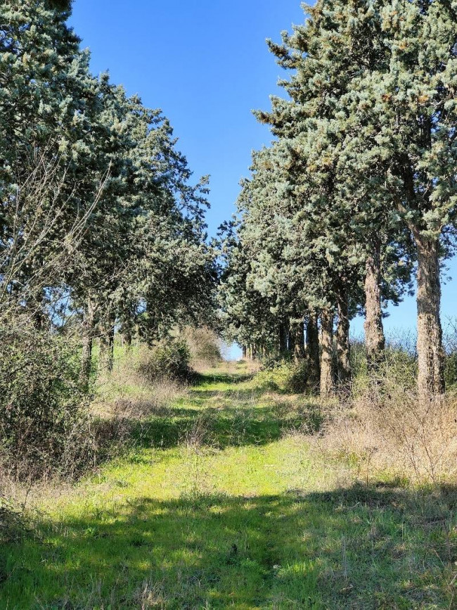 Rustico in vendita a Amelia