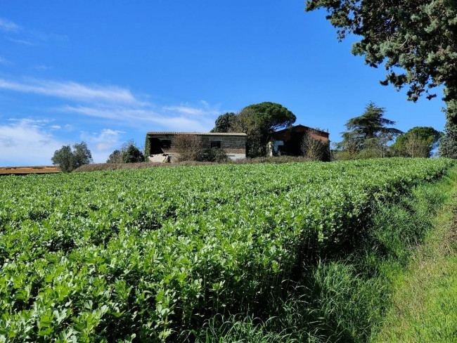 Rustico in vendita a Amelia