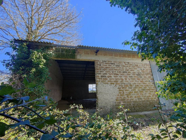 Rustico in vendita a Amelia