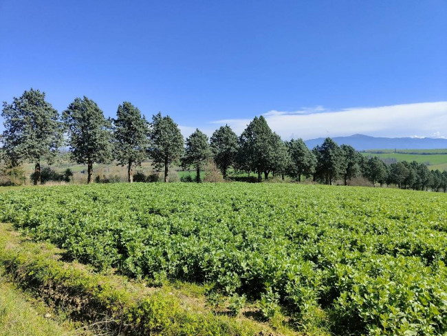 Rustico in vendita a Amelia