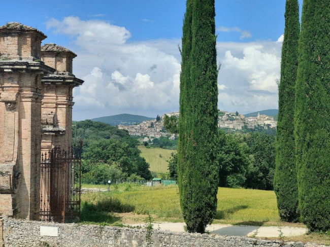 Deposito in vendita a Amelia