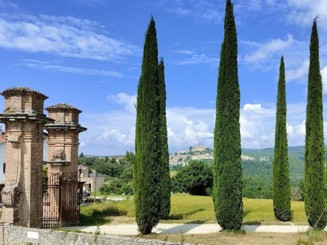 Deposito in vendita a Amelia