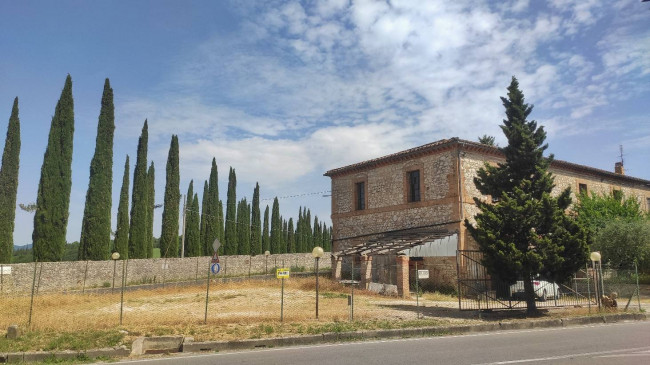 Deposito in vendita a Amelia