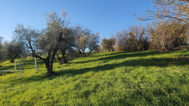 Rustico in vendita a Amelia