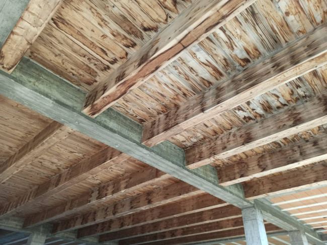 Villa in vendita a Vasanello