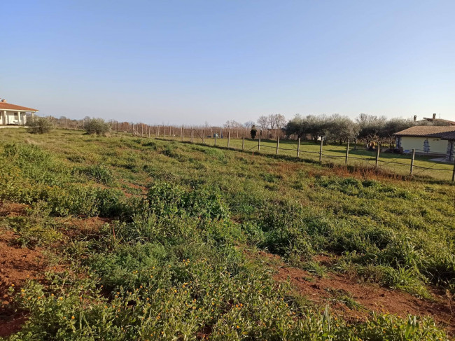 Villa in vendita a Vasanello