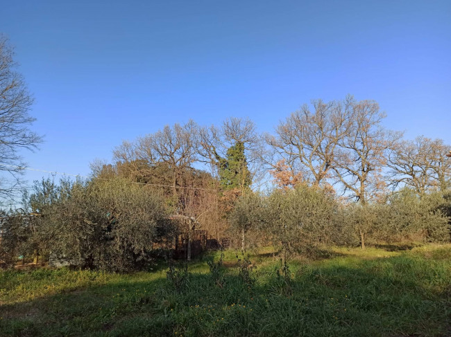 Villa in vendita a Vasanello