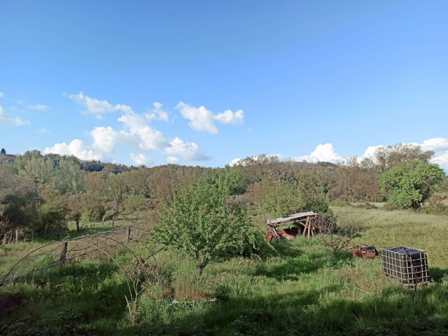 Terreno Agricolo in vendita a Orte