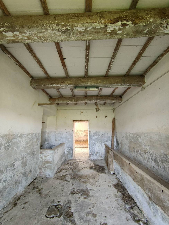 Rustico in vendita a Amelia