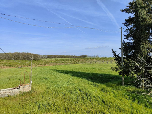 Rustico in vendita a Amelia