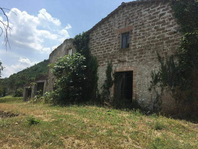 Terreno Agricolo in vendita a Orte