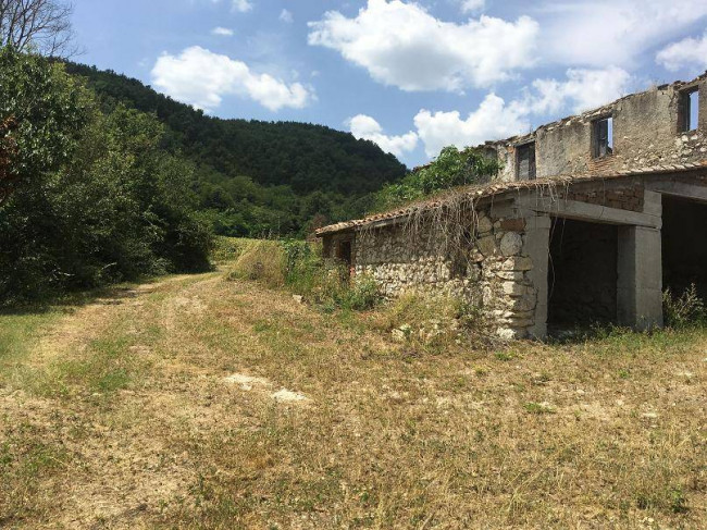 Terreno Agricolo in vendita a Orte