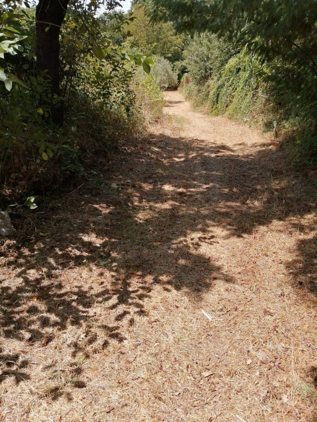 Terreno Agricolo in vendita a Vasanello