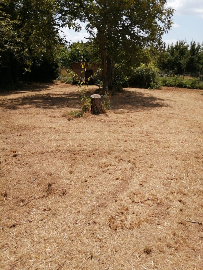Terreno Agricolo in vendita a Vasanello
