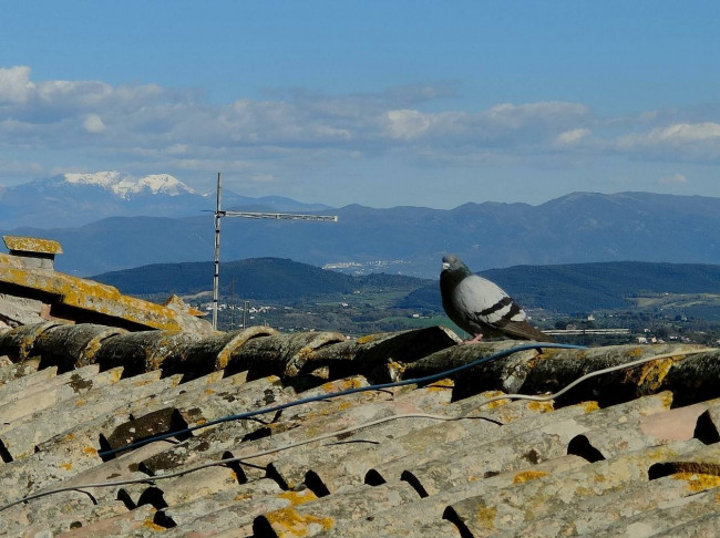 Appartamento in vendita a Amelia