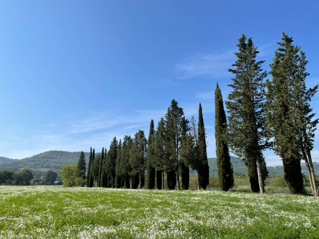 Rustico in vendita a Orte
