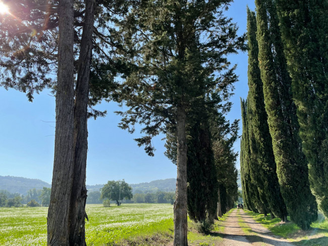 Rustico in vendita a Orte