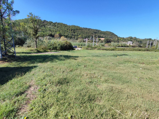Terreno Agricolo in vendita a Orte