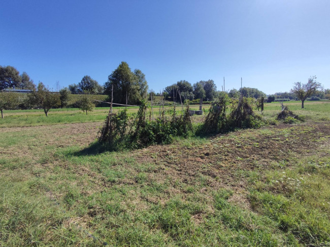 Terreno Agricolo in vendita a Orte