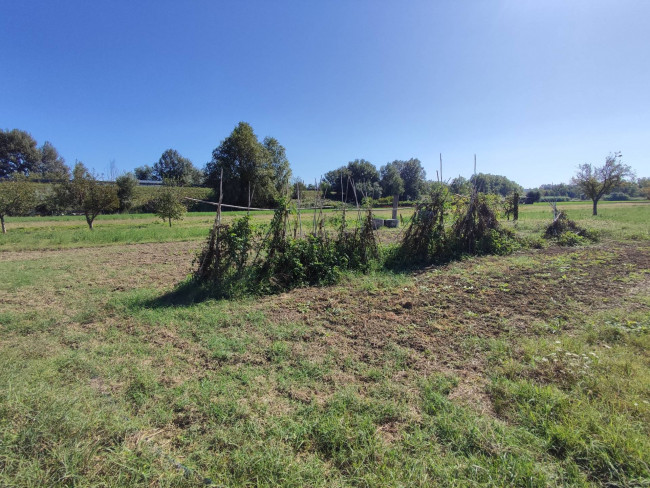Terreno Agricolo in vendita a Orte