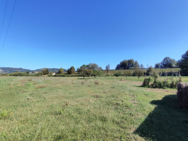 Terreno Agricolo in vendita a Orte