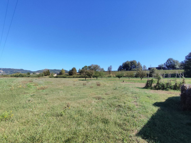 Terreno Agricolo in vendita a Orte