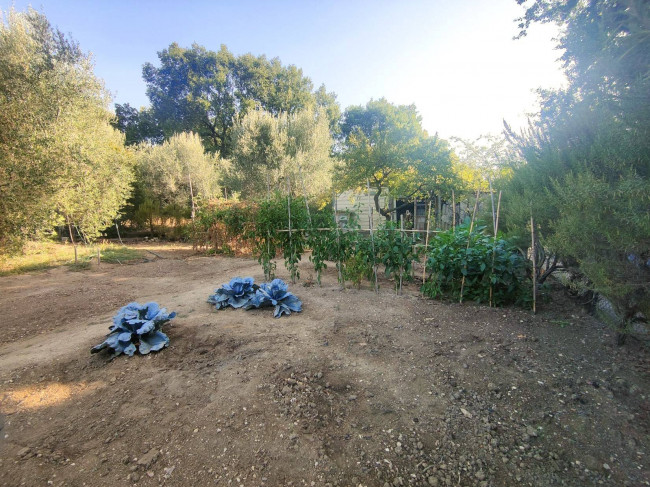 Terreno Agricolo in vendita a Amelia