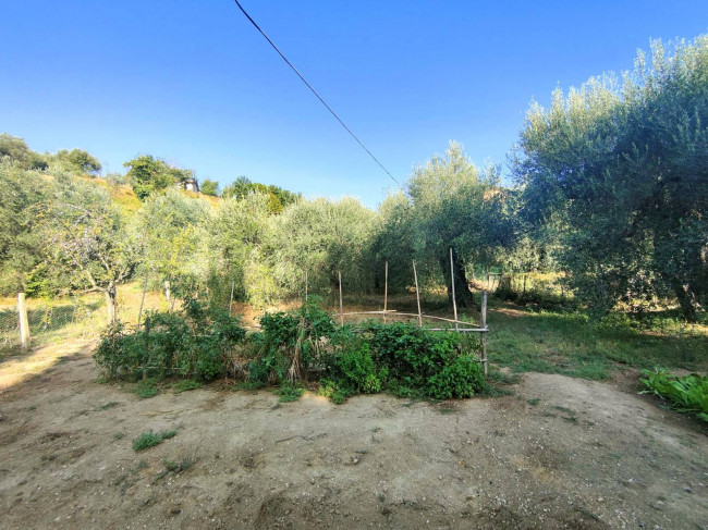 Terreno Agricolo in vendita a Amelia