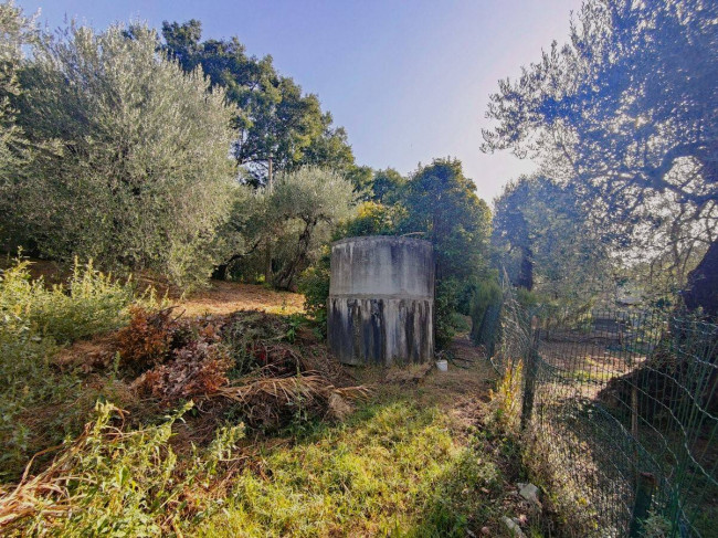 Terreno Agricolo in vendita a Amelia