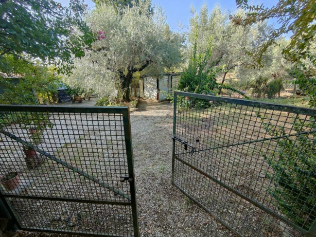 Terreno Agricolo in vendita a Amelia