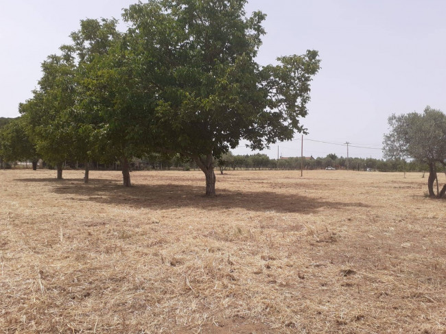 Terreno Agricolo in vendita a Viterbo